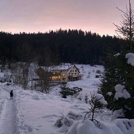 Le Perchoir- Grand Valtin 6 Pers Apartment Ban-sur-Meurthe-Clefcy Екстериор снимка