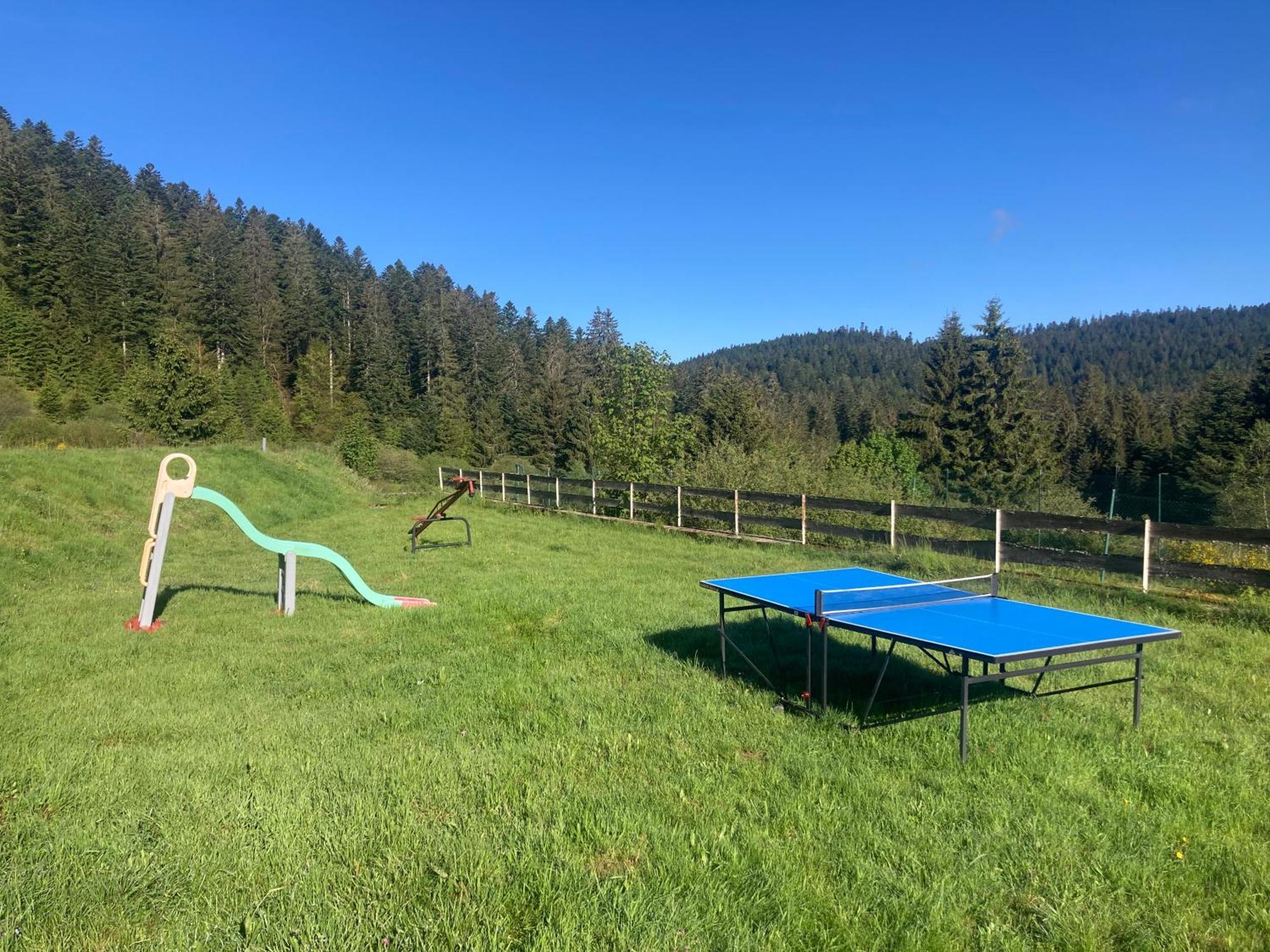 Le Perchoir- Grand Valtin 6 Pers Apartment Ban-sur-Meurthe-Clefcy Екстериор снимка